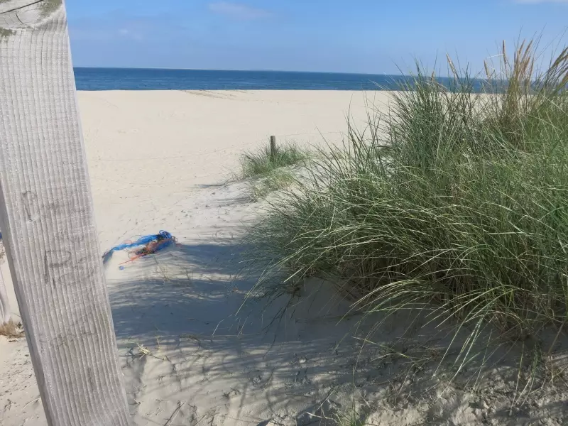 Strand in den Niederlanden
