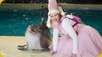 Winterfee im Dolfinarium Harderwijk