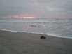 Nordsee_Schuh_pixelio_Klaus_Steves