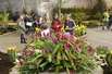 Holland Flower Festival mit Kindern
