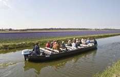 Fluesterboote/Keukenhof_2008