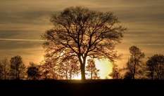 Sonnenuntergang