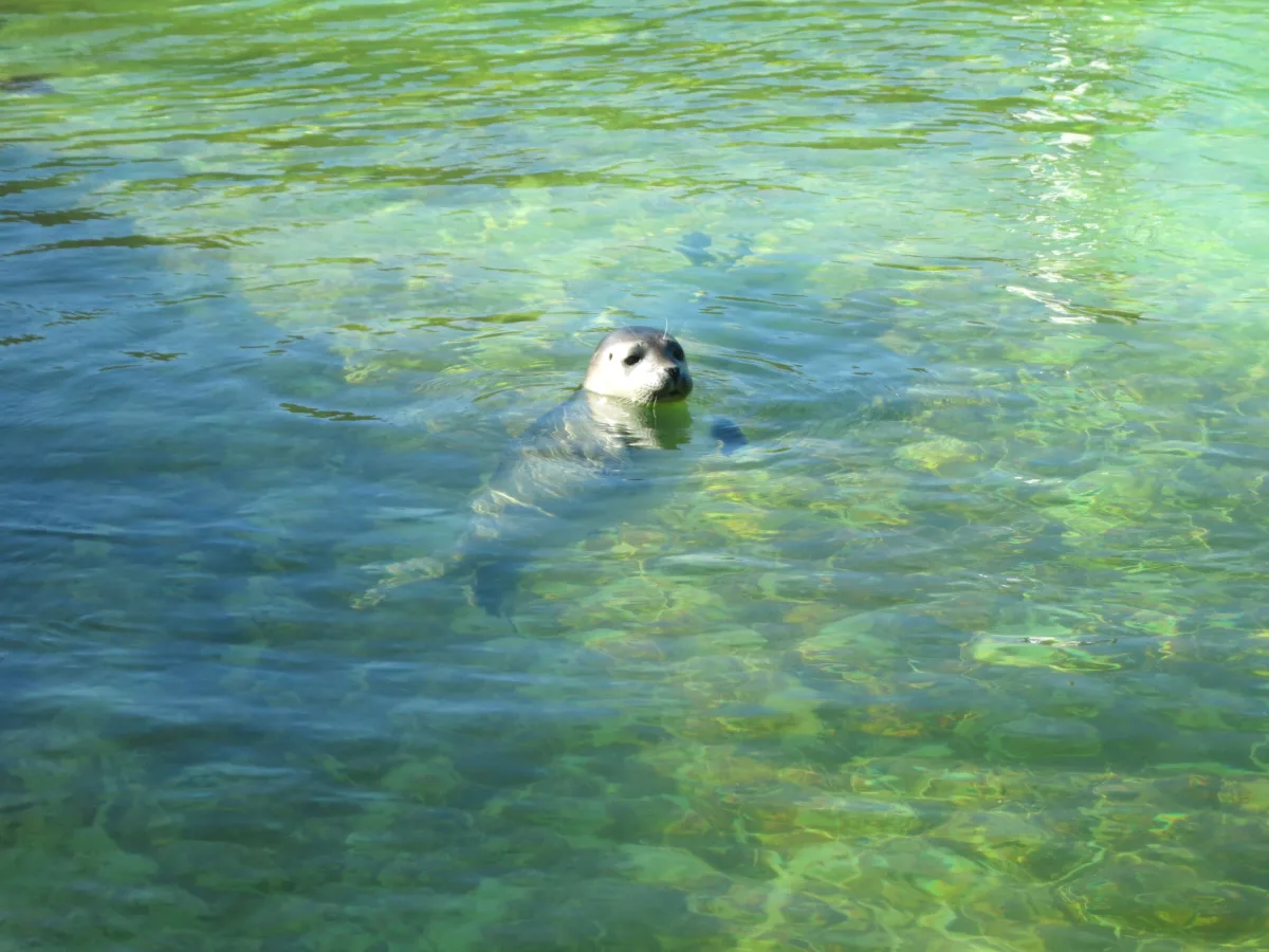 texel-mit-kindern-1200.webp