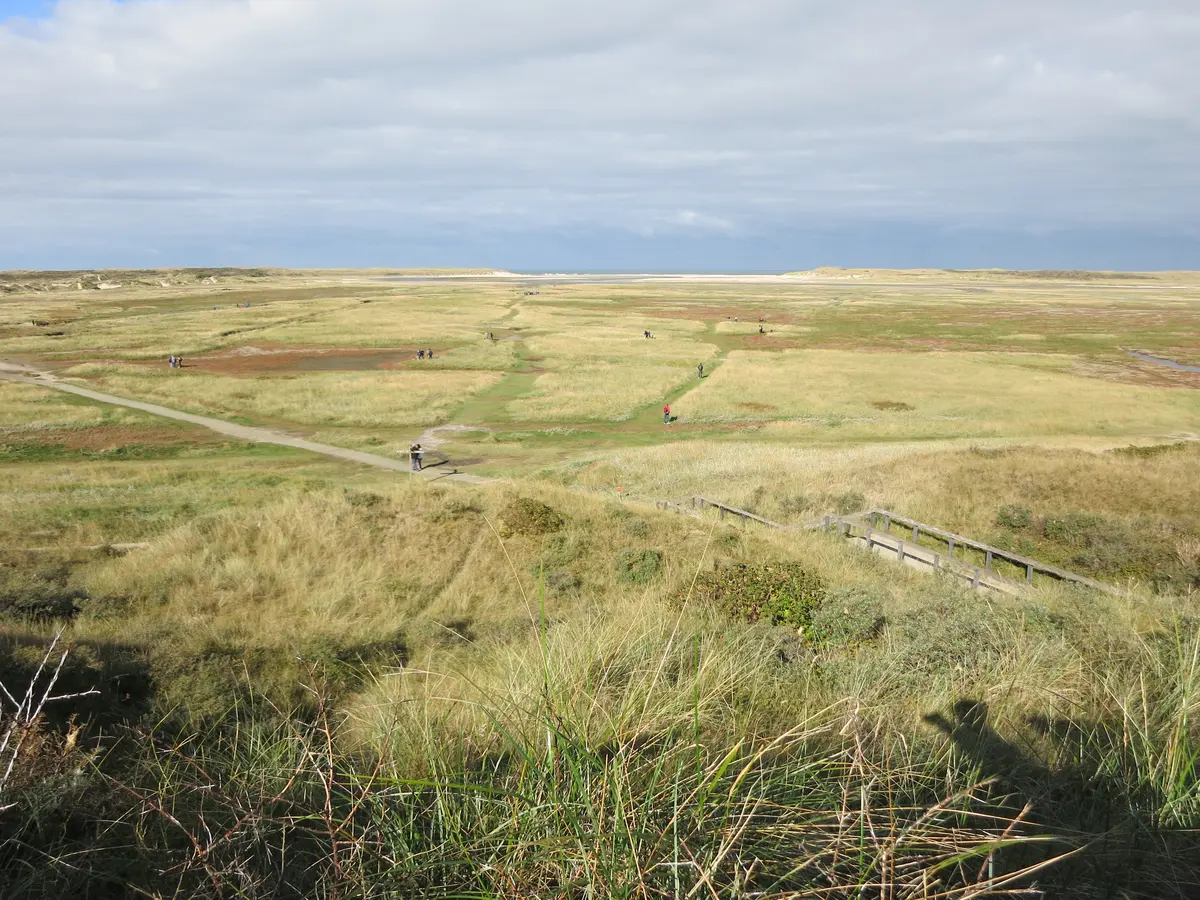 texel-natur-wattenmeer-1200.webp