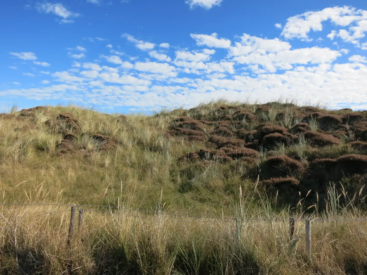 texel-orte-straende-1200.webp