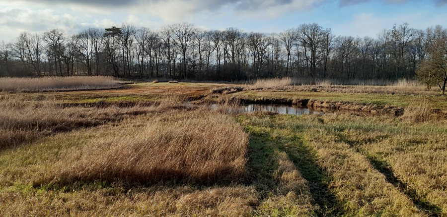 Bachlauf der Drentsche Aa bei Oudemolen und Schipborg