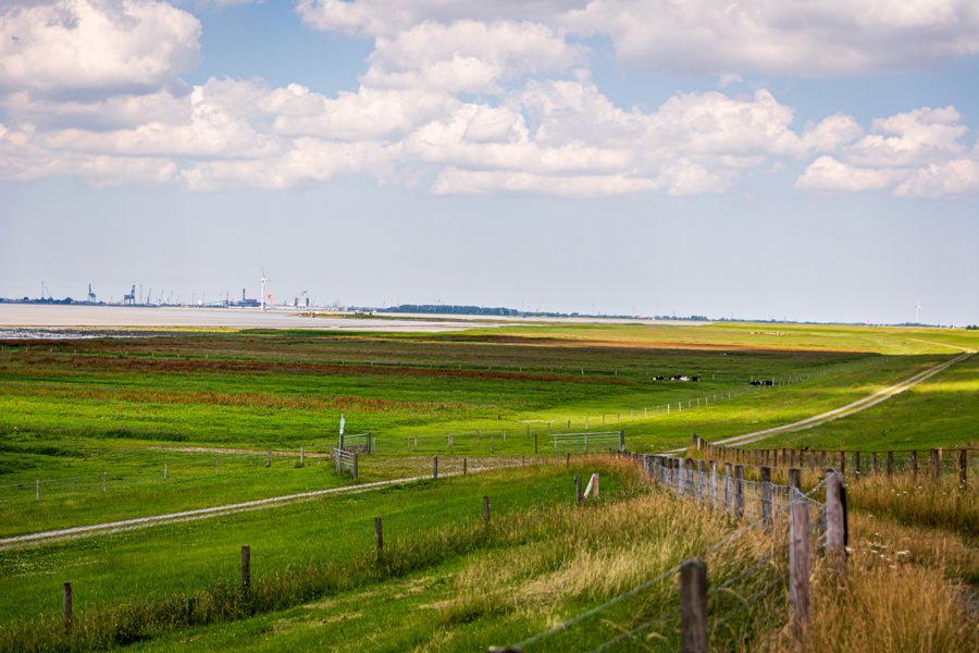 Deichvorland-im-Dollart.jpg