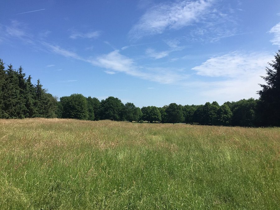Borgerswold-Park in Veendam mit Wasser und Bäumen