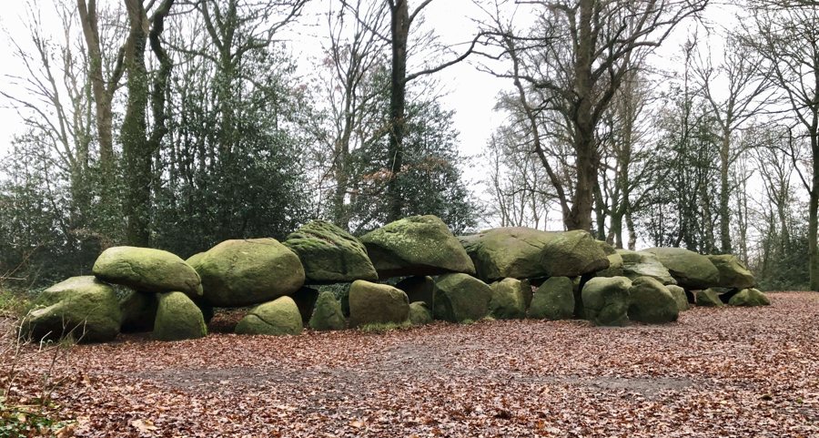Hunebed D27 in Borger