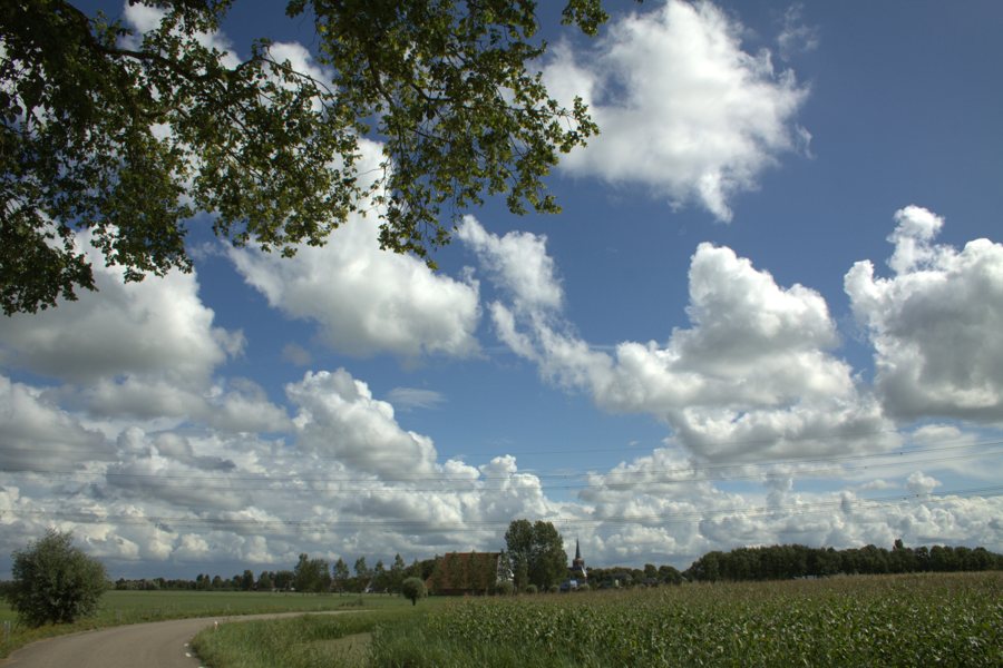 Ländliche Straße durch die friesische Landschaft bei Wirdum