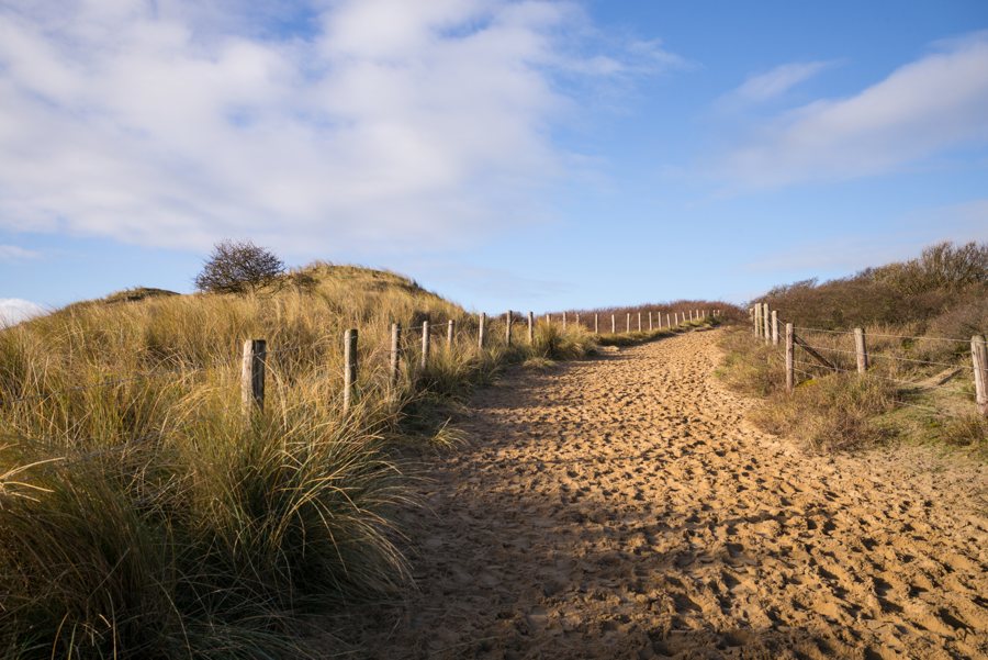 Dünenlandschaft bei Wassenaar