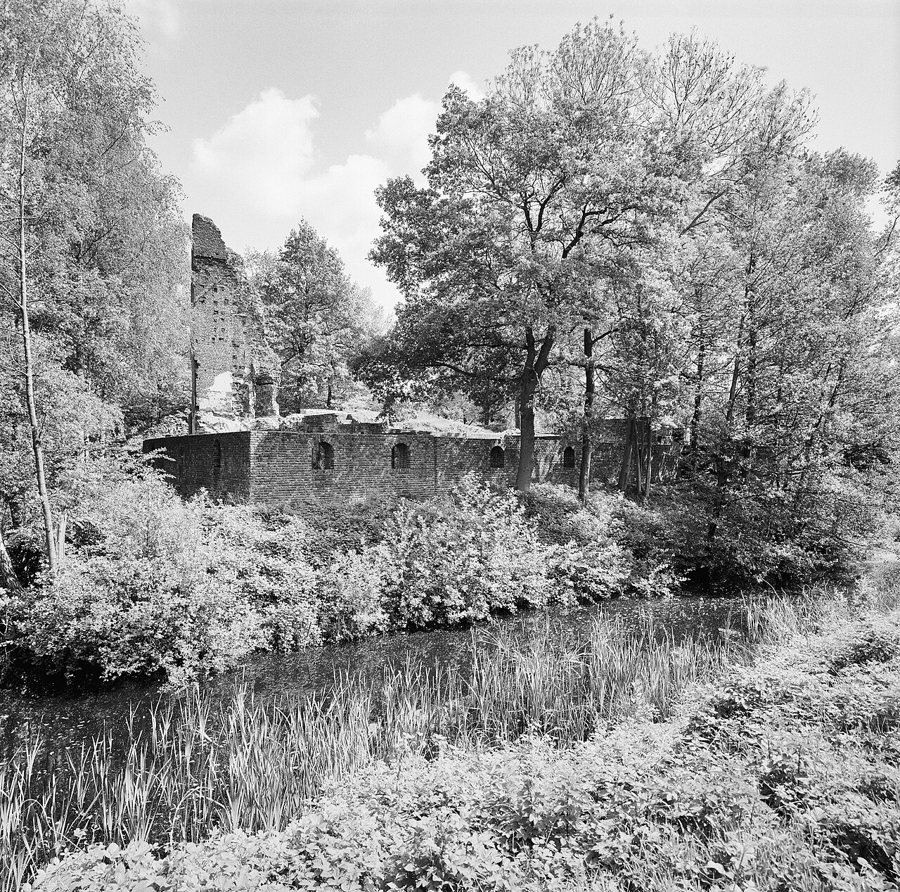 Ruine von Huys ter Horst in Horst
