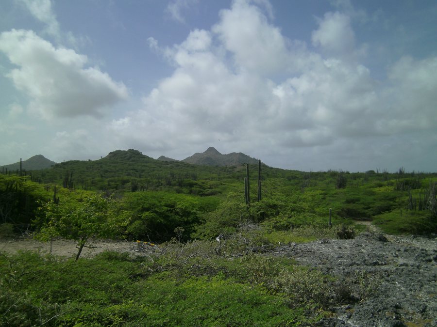 Landschaft im Washington Slagbaai National Park auf Bonaire
