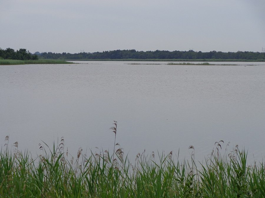 Naardermeer – Groote Meer