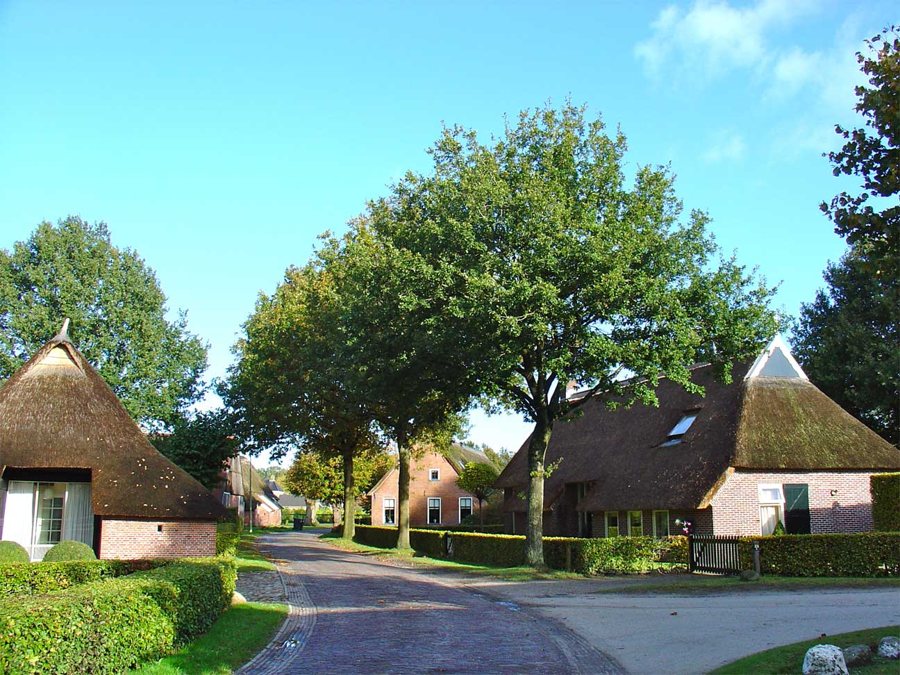 Dorfansicht von Norg