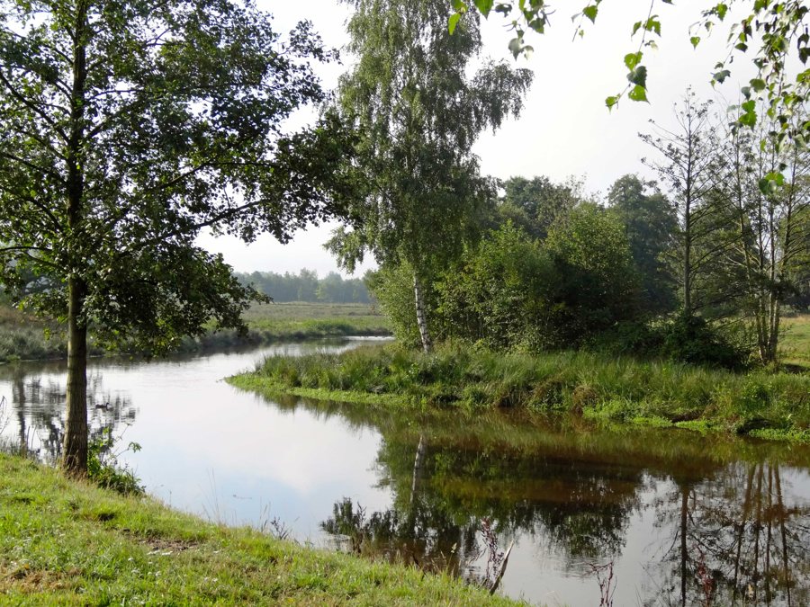 Midden-Regge bei Hellendoorn