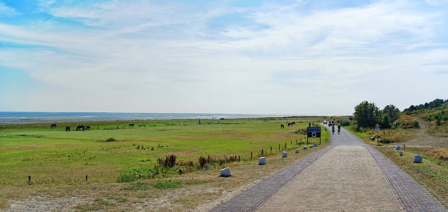 File:Vlieland - Oost-Vlieland - Waddendijk - Postweg 02.jpg