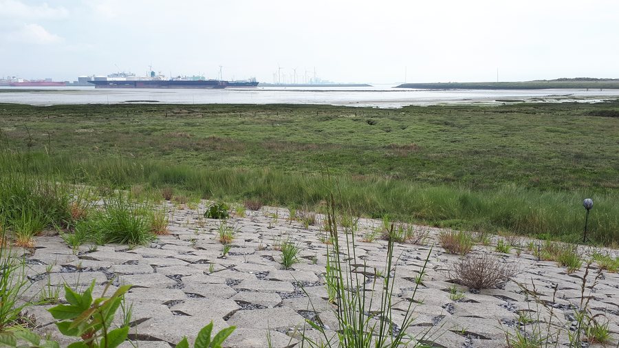 File:Schorren en slikken bij Ritthem.jpg