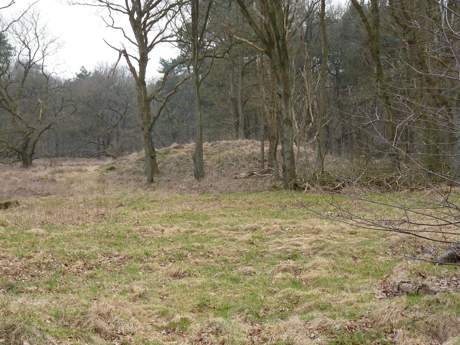 File:Midlaren Grafheuvel 50 Bunder.JPG