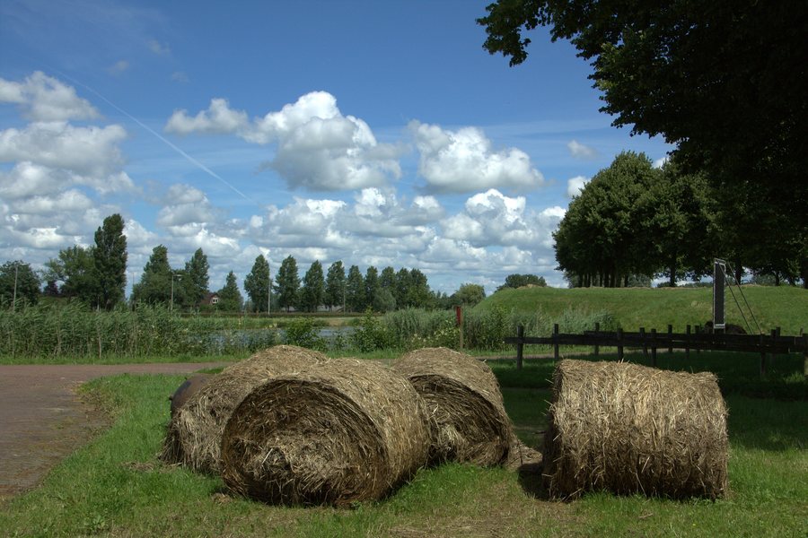 File:Bij de ingang van de Wierickerschans bij Nieuwerbrug aan den Rijn.jpg