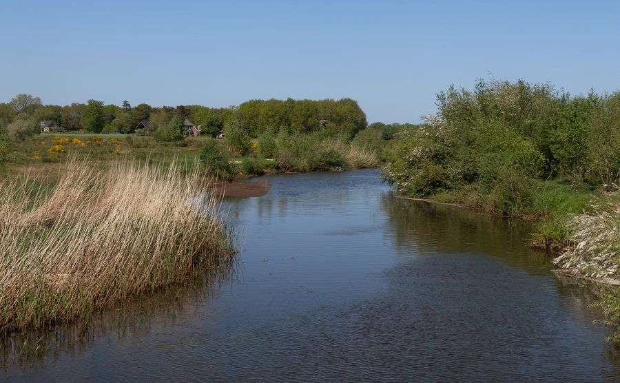File:Bij Ommen-Lemele, de Beneden Regge IMG 1273 2022-05-08 14.08.jpg