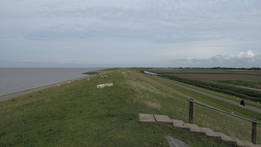 File:8855 Sexbierum, Netherlands - panoramio (1).jpg