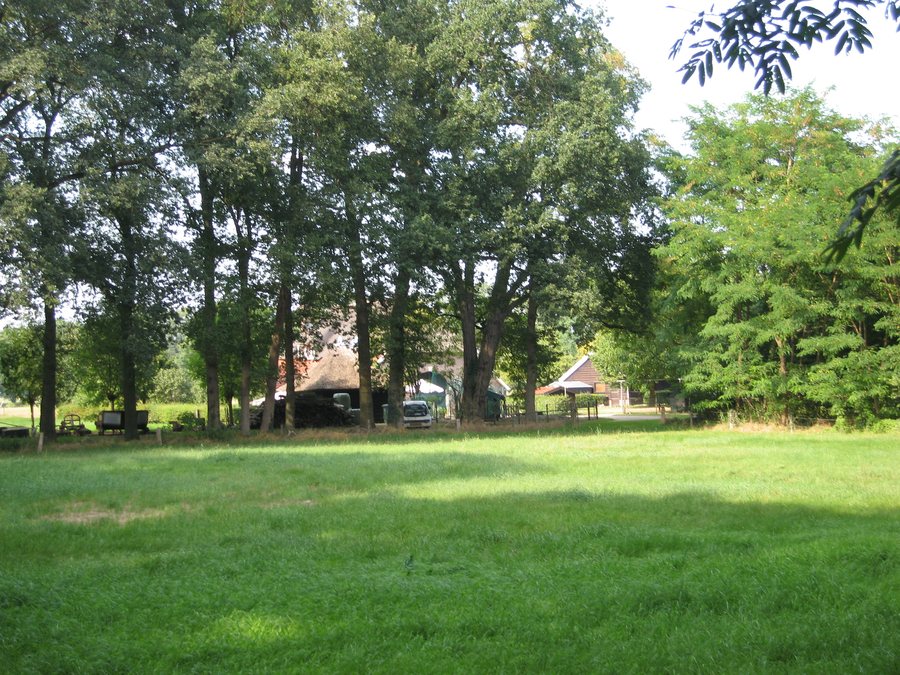 File:Warnsveld-dennendijk-208646.jpg