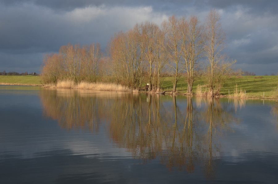 File:Wonderful reflection at a fossile riverbranche of the Rhine (oude Waal) near Herwen - panoramio.jpg