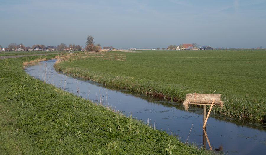 File:Bij Gaastmeer, sloot in het polderlandschap IMG 2459a 2018-04-19 08.28.jpg
