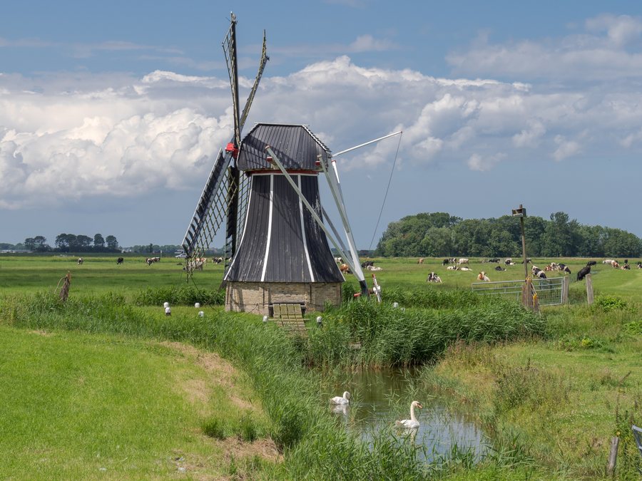 File:Poldenmolen 
