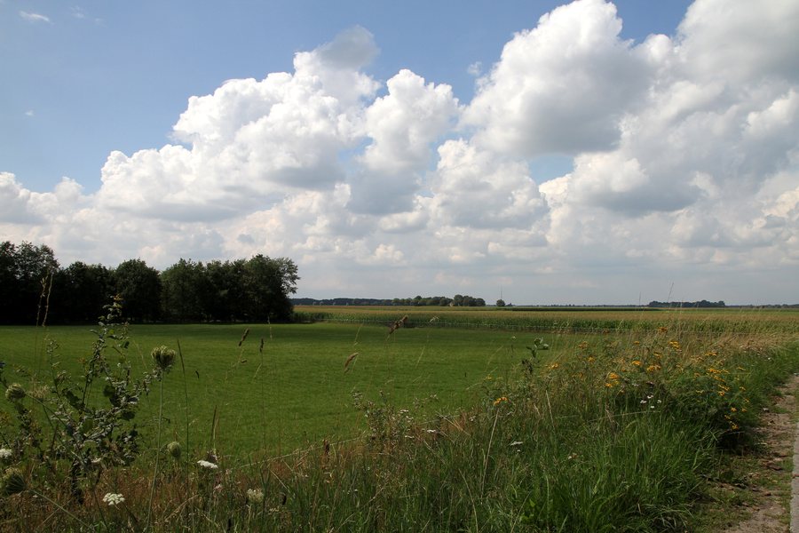File:Nordbrabant-02-Landschaft-2010-gje.jpg