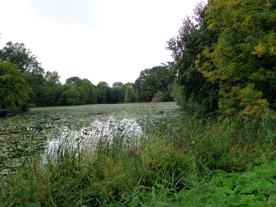 File:Fort Nieuwersluis Gracht.JPG