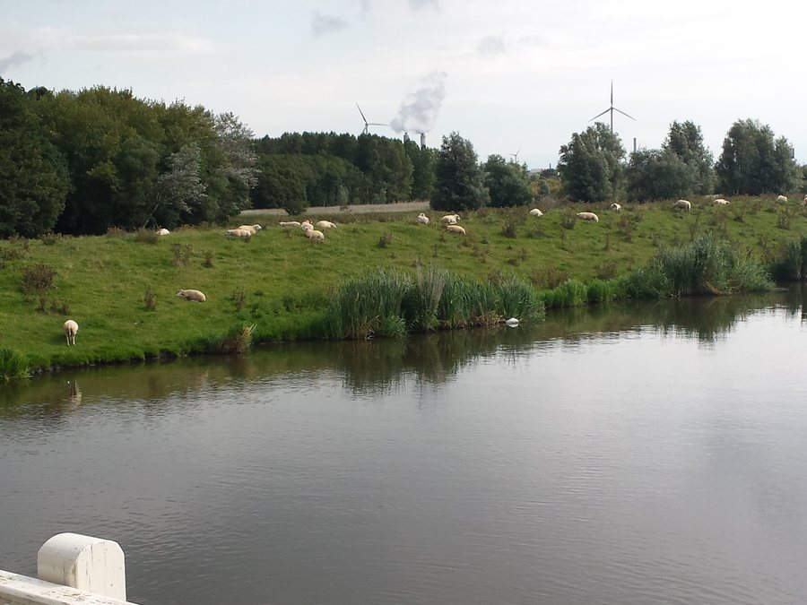 File:Halfweg, Netherlands - panoramio (2).jpg