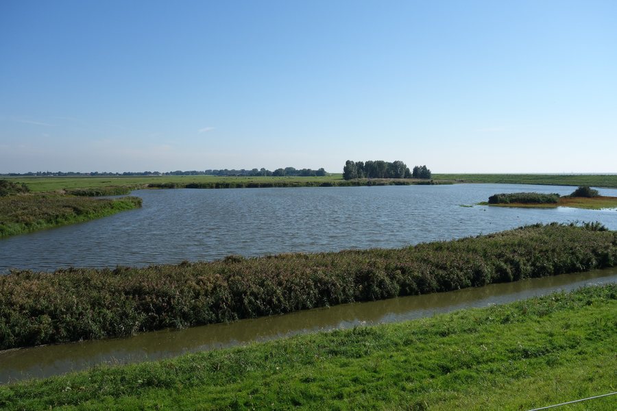 File:Kleiput bij Schellinkhout 01.JPG