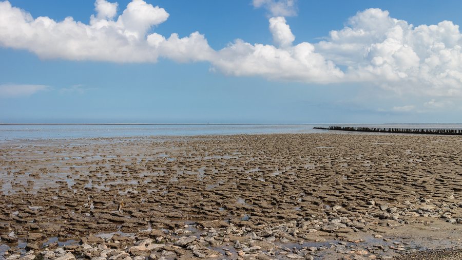 File:Wierum (Noardeast-Fryslân), 10-07-2023. (actm.) 26.jpg