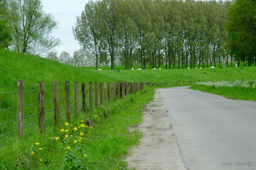 File:Parkje in Heenvliet - panoramio (1).jpg