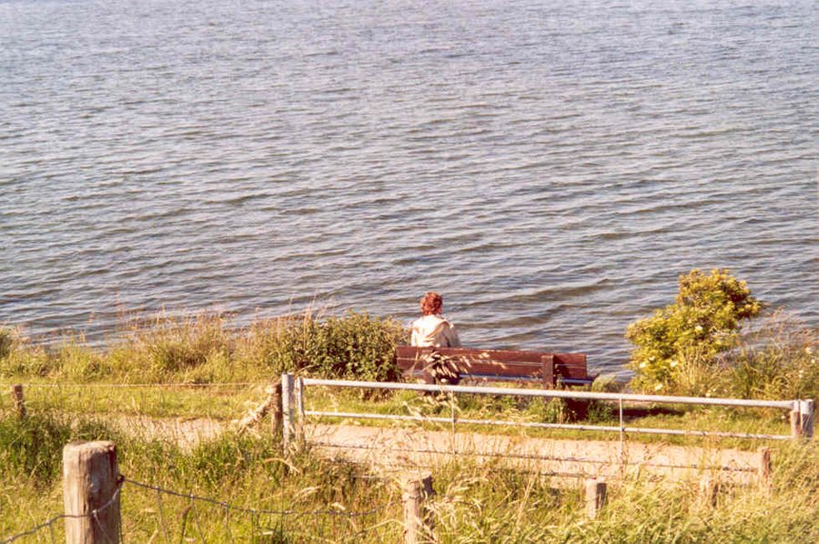 Person auf einer Bank am Wasser der Reeuwijkse Plassen