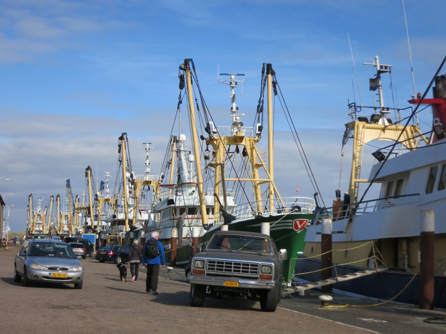 Fischkutter im Hafen von Oudeschild