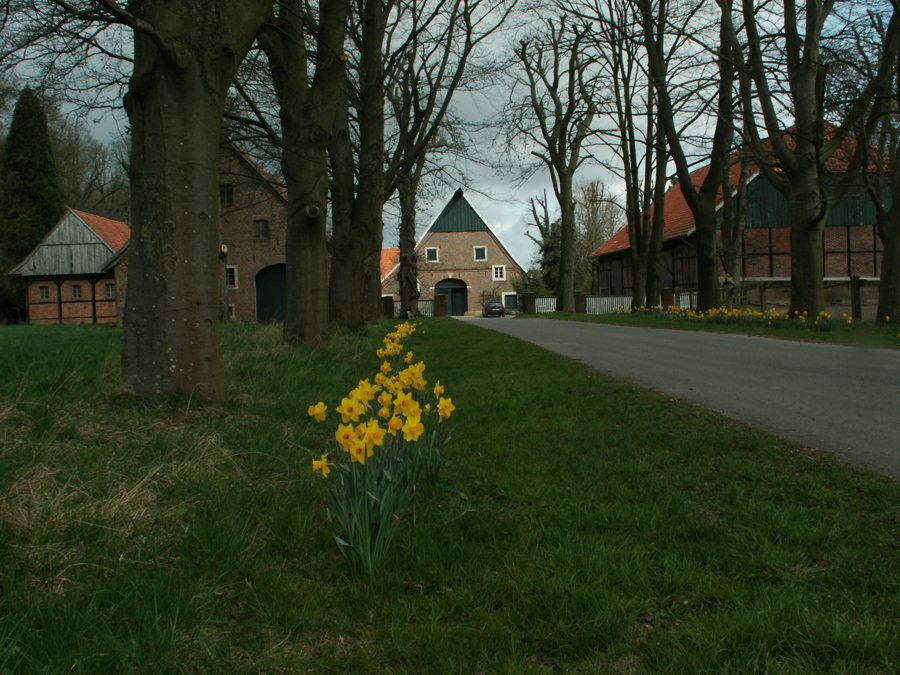 Hoflandschaft bei Winterswijk in der Achterhoek