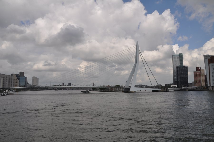 Hafen und Erasmusbrücke in Rotterdam