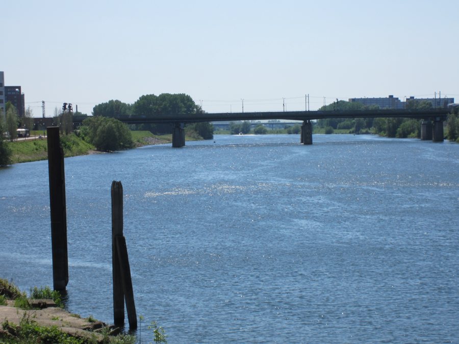 Die Maas bei Venlo mit einer Brücke und Uferpfählen.