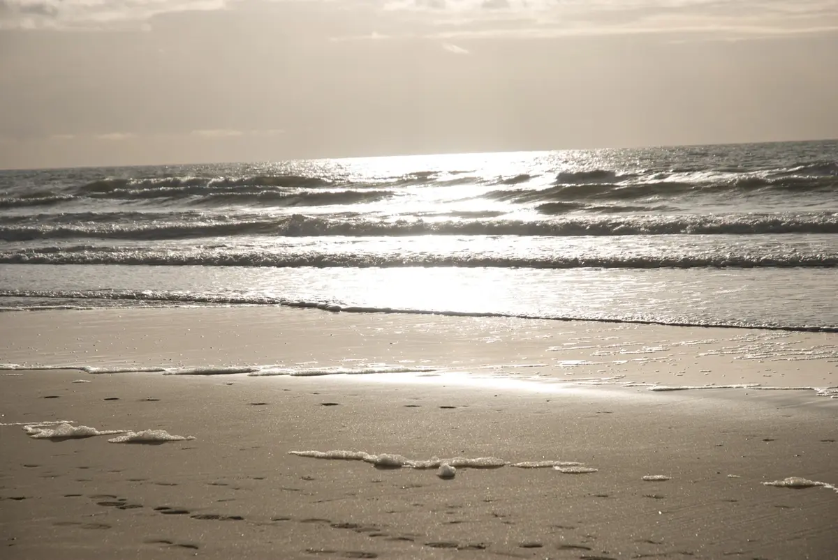 Nordseestrand bei Zandvoort mit Wellen und nassem Sand