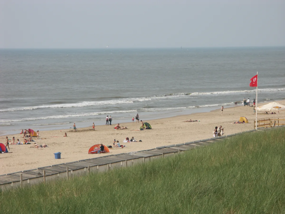 Blick über Dünengras auf Strand und Nordsee bei Egmond aan Zee.