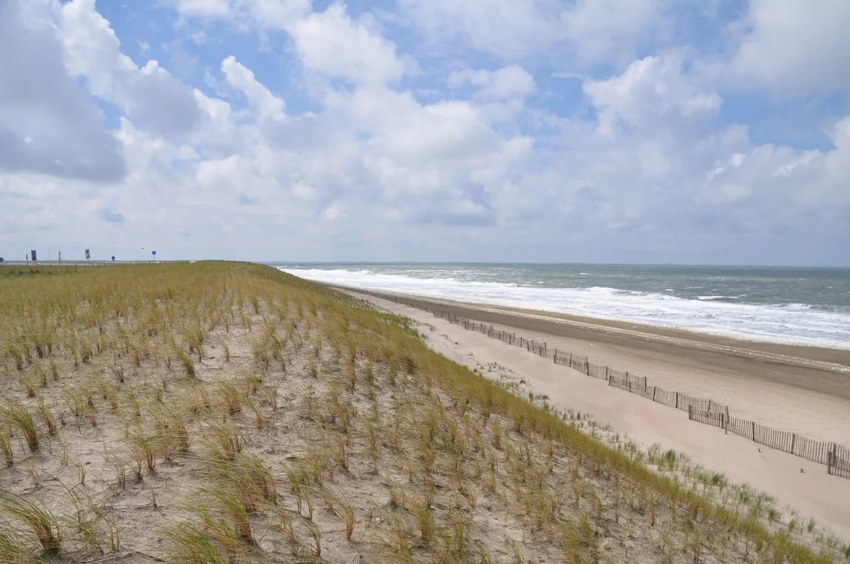 Dünen und Nordseestrand bei Hoek van Holland