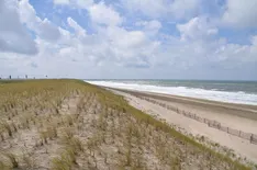 Dünen und Nordseestrand bei Hoek van Holland