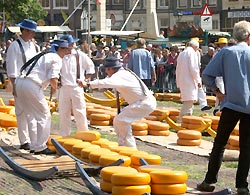 Käsemarkt in Alkmaar