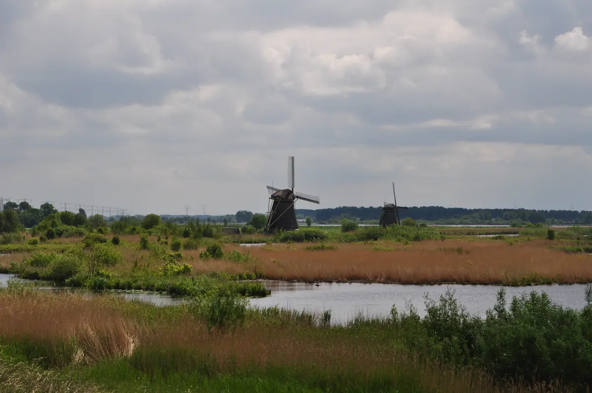 Windmühlen in der Polderlandschaft von Kinderdijk