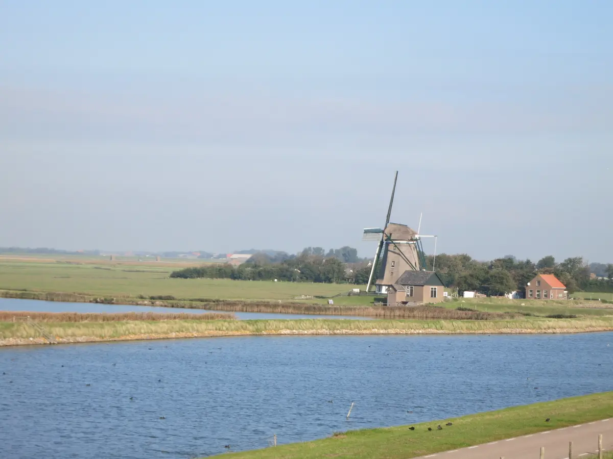 Windmühle in der flachen Landschaft von Noord-Holland
