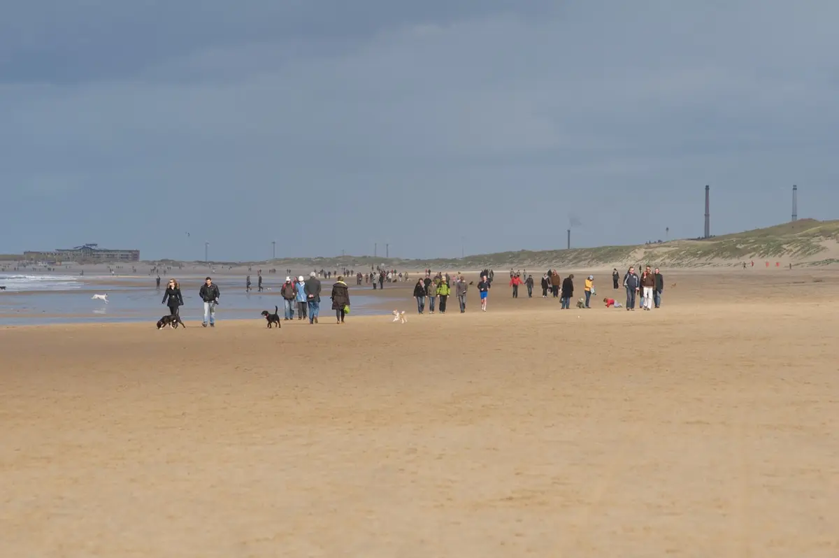 Spaziergänger am breiten Strand von Zandvoort vor den Dünen.